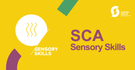 SCA Sensory Foundation