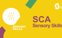 SCA Sensory Skills Foundation (味覺感官技巧)